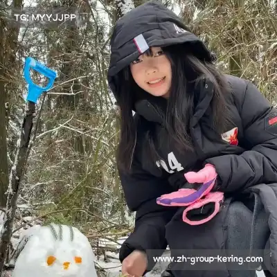 狄柏